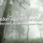 โครงการจัดการผืนป่าตะวันตกเชิงระบบนิเวศ  WEFCOM Ecosystem Management Project