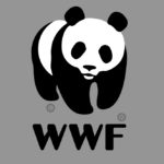 WWF-ประเทศไทย แถลงการณ์ประณามเปรมชัย กรณีล่าสัตว์ป่าในทุ่งใหญ่ฯ