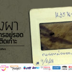 รำลึก 28 ปี สืบ นาคะเสถียร : กวางผา ตัวแทนการอยู่รอดของสัตว์ติดเกาะ