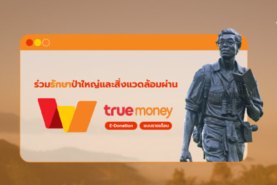 ร่วมปกป้องผืนป่าสัตว์ป่า ผ่าน TrueMoney Wallet (แบบรายเดือน)