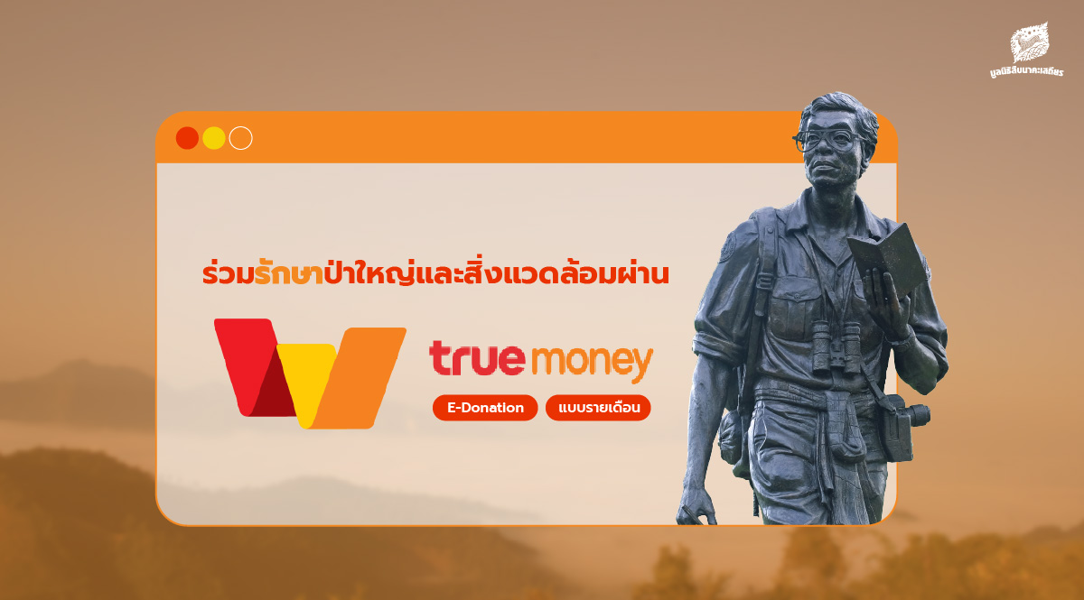 ร่วมปกป้องผืนป่าสัตว์ป่า ผ่าน TrueMoney Wallet (แบบรายเดือน)