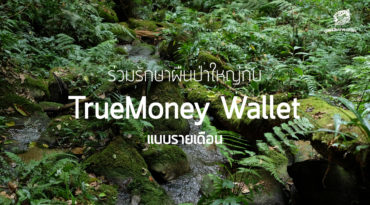 ร่วมปกป้องผืนป่าสัตว์ป่า ผ่าน TrueMoney Wallet (แบบรายเดือน)