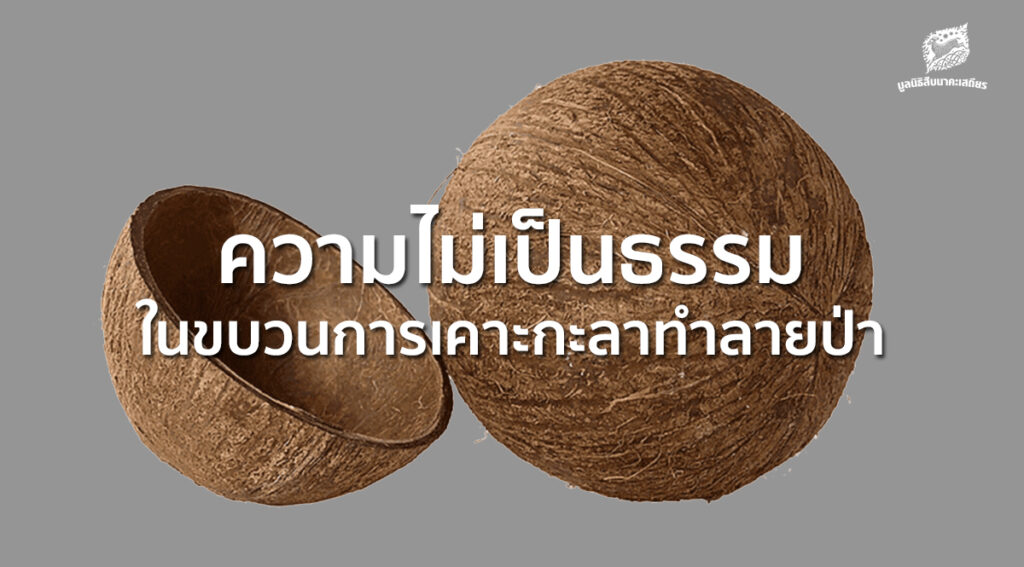ความไม่เป็นธรรมในขบวนการเคาะกะลาทำลายป่า - ทำไมถึงเรียกร้องให้ คืนความชอบธรรม