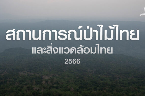 สถานการณ์ป่าไม้และสิ่งแวดล้อมไทย 2566