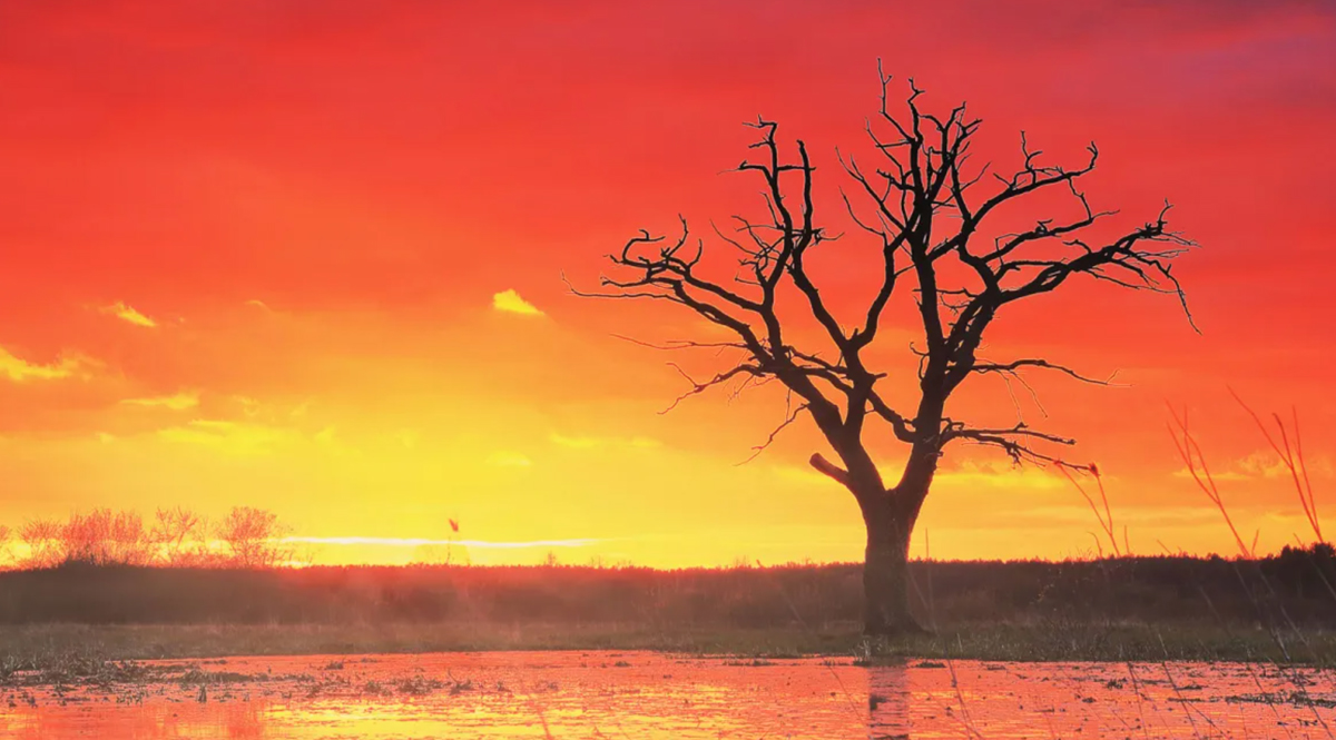 สภาพภูมิอากาศที่เหมือนทางด่วนมุ่งสู่นรกทางสภาพภูมิอากาศ โลกเผชิญความร้อนสุดเดือด 12 เดือนติดต่อกัน