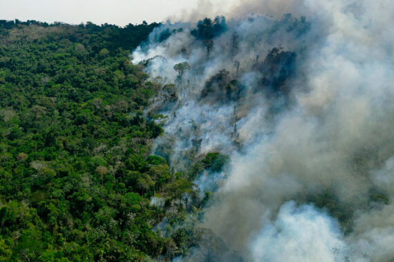 ชวนรู้จัก ‘Ecocide’ การทำลายธรรมชาติแบบล้างผลาญ เป็นอาชญากรรมต่อมวลมนุษยชาติ 