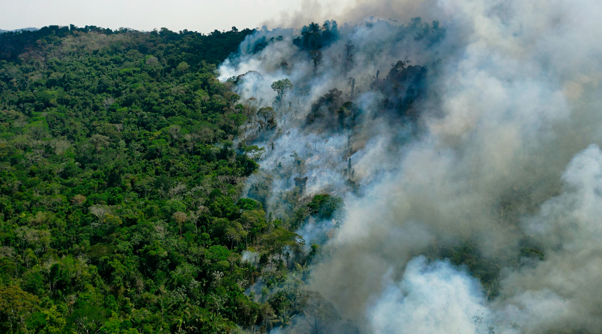 ชวนรู้จัก ‘Ecocide’ การทำลายธรรมชาติแบบล้างผลาญ เป็นอาชญากรรมต่อมวลมนุษยชาติ 