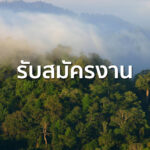 รับสมัครงาน เจ้าหน้าที่สื่อสารองค์กร 1 ตำแหน่ง