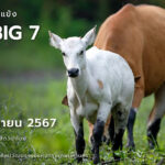 นิทรรศการภาพถ่ายสัตว์ป่าห้วยขาแข้ง The Big 7