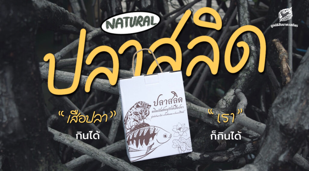 ปลาสลิด - ผลิตภัณฑ์อนุรักษ์เสือปลา 