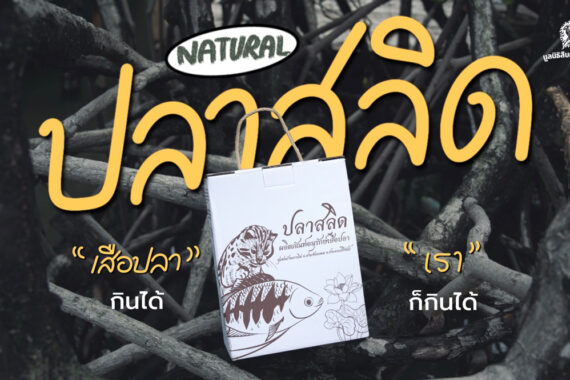 ปลาสลิด – ผลิตภัณฑ์อนุรักษ์เสือปลา 