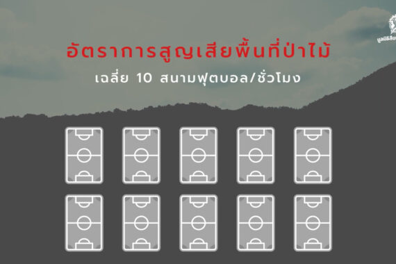 อัตราการสูญเสียพื้นที่ป่าไม้ไทย เฉลี่ย 10 สนามฟุตบอล/ชั่วโมง