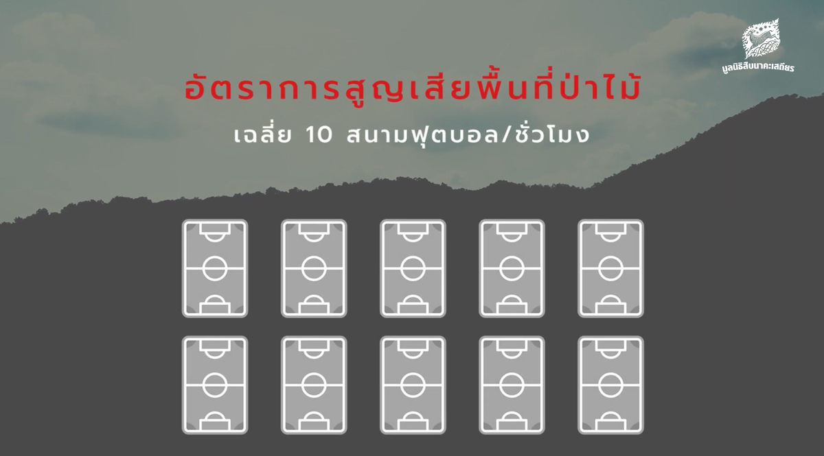 อัตราการสูญเสียพื้นที่ป่าไม้ไทย เฉลี่ย 10 สนามฟุตบอล/ชั่วโมง