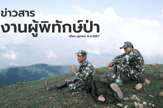 ข่าวสารงานผู้พิทักษ์ป่า เดือนตุลาคม 2567