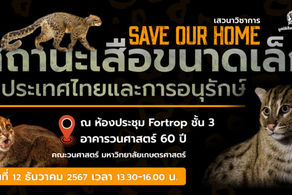 เสวนาวิชาการ Save our home สถานะเสือขนาดเล็กในประเทศไทยและการอนุรักษ์