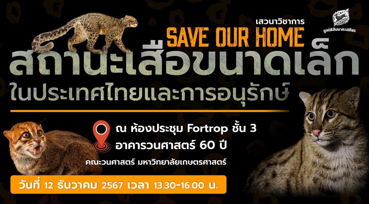 เสวนาวิชาการ Save our home สถานะเสือขนาดเล็กในประเทศไทยและการอนุรักษ์