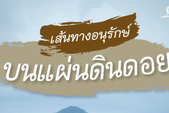 เส้นทางอนุรักษ์ บนแผ่นดินดอย The Conservation Road in Umphang