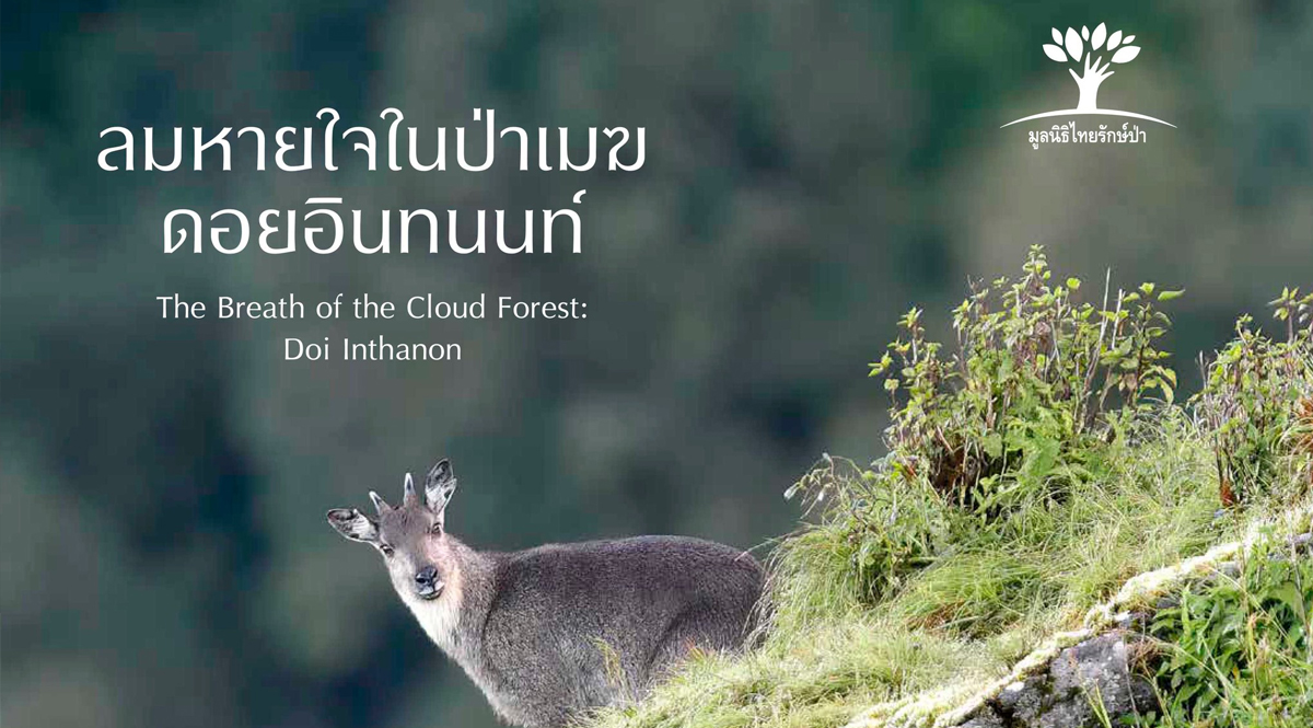 ลมหายใจในป่าเมฆ ดอยอินทนนท์ The Breath of the Cloud Forest : Doi Inthanon